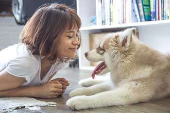 apprendre à un chien son nom. Une femme avec son chien.