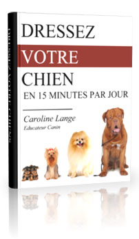 dresser votre chien en 15 minutes par jour